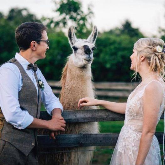 Skipbridge Farm Glamping York Kültér fotó