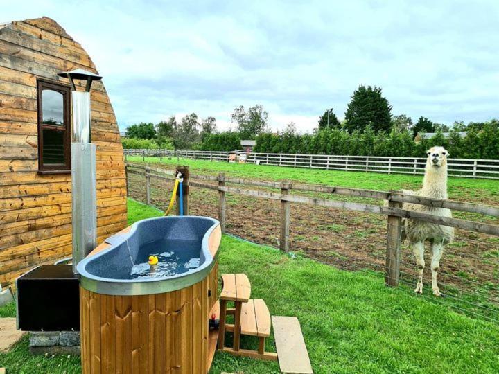 Skipbridge Farm Glamping York Kültér fotó