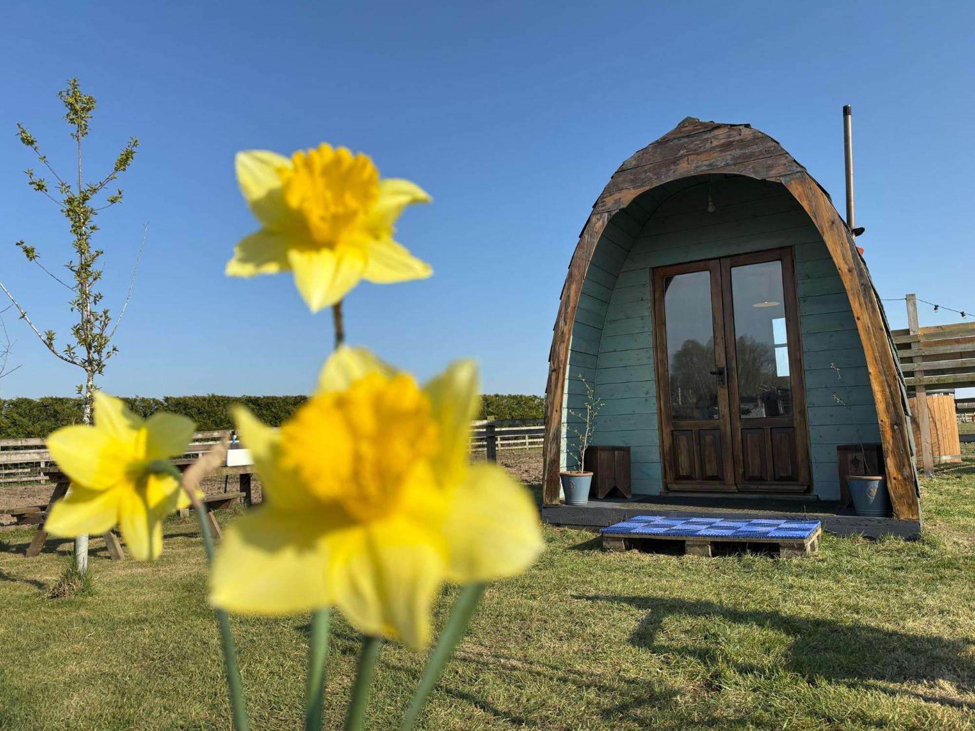 Skipbridge Farm Glamping York Kültér fotó